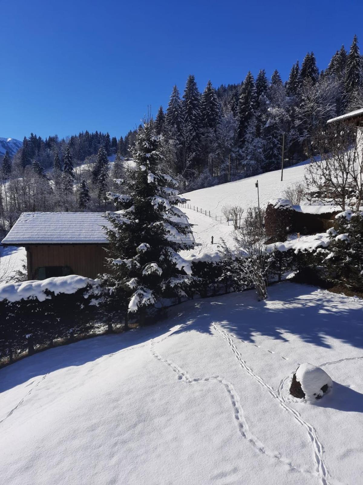Отель Berghof Mehlan Фишен Номер фото